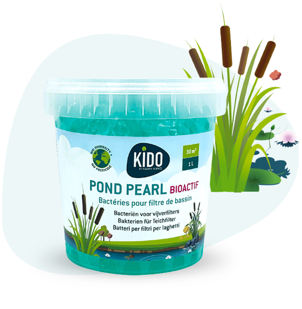 Pond pearl – Bactéries à diffusion lente pour filtre de bassin Pond pearl - Bactéries à diffusion lente pour filtre de bassin